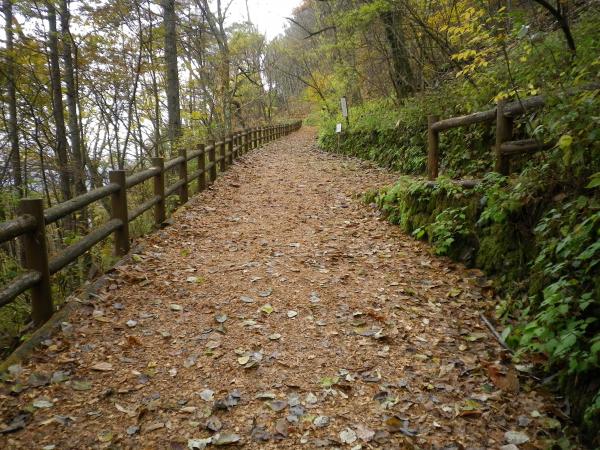 森林館から三頭大滝までは、ウッドチップが敷き詰められた足に優しい歩きやすい道です。